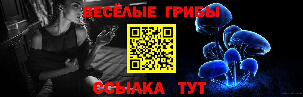 Псилоцибиновые грибы GOLDEN TEACHER  Псилоцибиновые грибы GOLDEN TEACHER  дарнет шоп  Вход с VPN  Калач-на-Дону 
