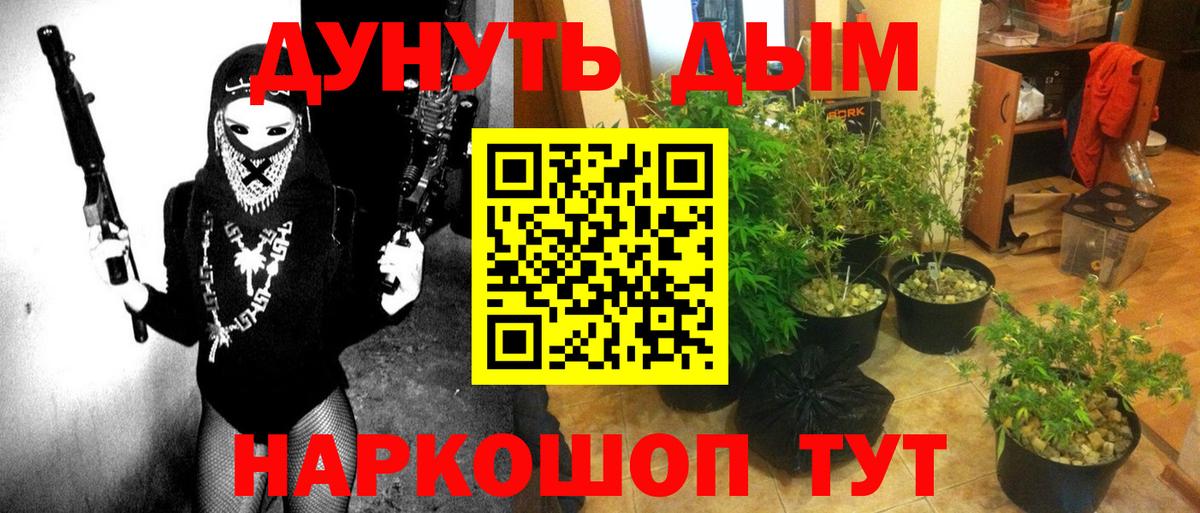 Конопля Amnesia  МАРИХУАНА семена  Калач-на-Дону  Вход с VPN 